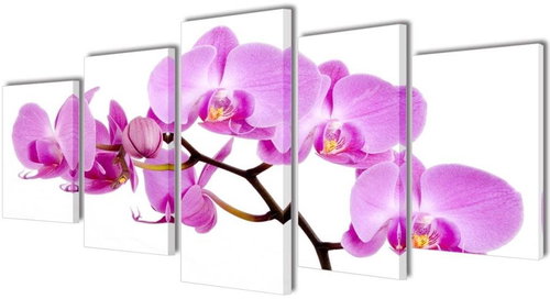 Set of paintings, print on canvas, orchid, 100×50 cm 241570 - Painting - Main image
