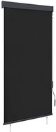 Outdoor roller blind 80 × 250 cm anthracite - Roller Blind