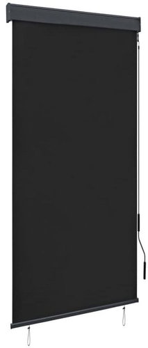 Outdoor roller blind 100 × 250 cm anthracite - Roller Blind - Main image