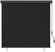Outdoor roller blind 160 × 250 cm anthracite - Roller Blind