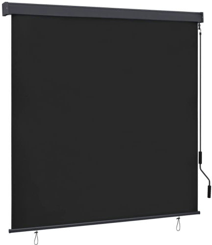 Outdoor roller blind 170 × 250 cm anthracite - Roller Blind - Main image