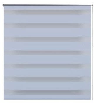 Roller blind day and night \ Zebra \ Twinroll 40x100 cm white - Roller Blind - Main image