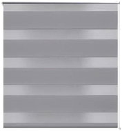 Roller blind day and night \ Zebra \ Twinroll 70x120 cm grey - Roller Blind