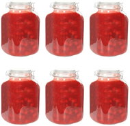Cooking jars with lever cap 6 pcs 5 l - Canning Jar