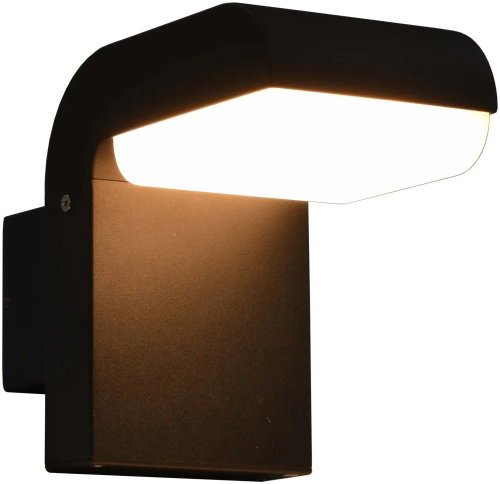 Garden LED wall light 9 W black oval - Garden Lighting - Main image