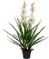 Artificial Plant Boat Orchid with Flowerpot 100cm - Artificial Flower