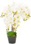 Artificial Orchid Plant with White Flowerpot 60cm - Artificial Flower
