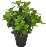 Artificial Plant Noble Laurel with a Flowerpot Green 40cm - Artificial Flower