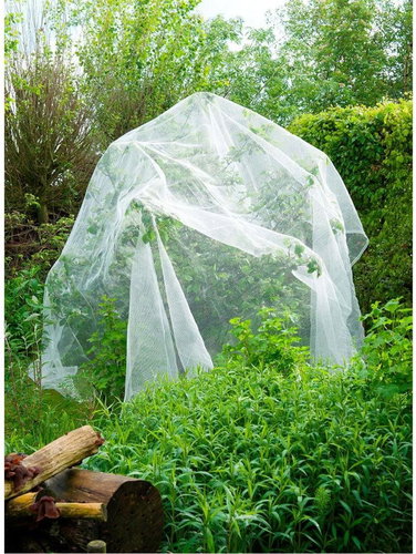 Nature Net against Insects Apple Wrap 6030450 - Compost Bin - Main image