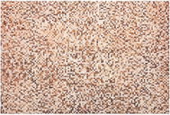 Hnědý kožený patchworkový koberec 140 x 200 cm TORUL, 200550 - Koberec