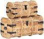 Úložné truhly 2 ks masívne mangovníkové drevo - Úložný box
