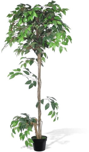Artificial Ficus (Fig Tree) in a Pot 160cm - Artificial Flower - Main image