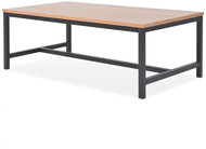 Konferenční stolek jasan 100x55x36 cm - Konferenční stolek