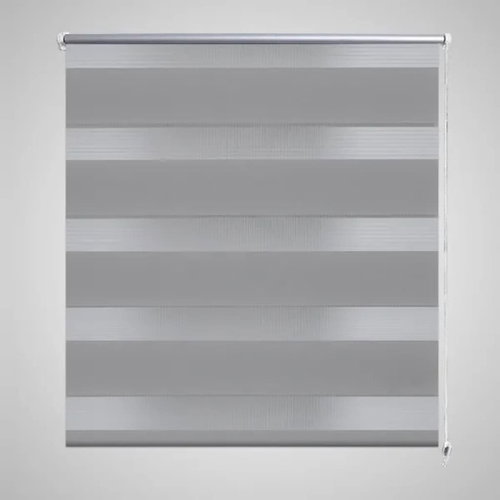 Roller blind day and night / Zebra / Twinroll 100x175 cm grey - Roller Blind - Main image