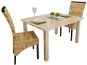 Dining chairs 2 pcs abaca and solid mango wood - Dining Chair