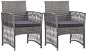Garden Chairs with Cushions 2 pcs Anthracite Polyrattan 46441 - Garden Chair