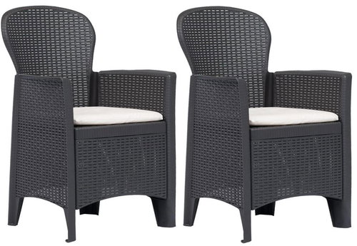 Garden chairs 2 pcs + cushions brown plastic rattan look 45600 - Garden Chair - Main image