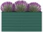 Vyvýšený záhradný kvetináč 160 × 80 × 77 cm pozinkovaná oceľ zelený - Vyvýšený záhon