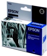 Epson T0481 čierna - Cartridge