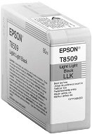Epson T7850900 svetlá čierna - Cartridge