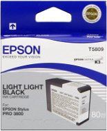 Epson T580 svetlá čierna - Cartridge
