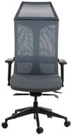 Swivel chair with extendable seat RYDER GRAY MECHANISM SELF-INCLUDING - Office Chair
