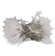 Indoor LED star chain 12 m 100 led - warm white - Light Chain