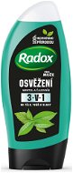 Radox Refreshment shower gel for men 250ml - Shower Gel