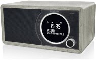 Sharp DR-450 Grey - Radio