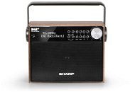 Sharp DR-P350 - Radio