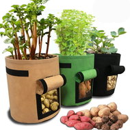 SHARKS Home Garden Flower Pot for Home Cultivation, Beige - Flower Pot