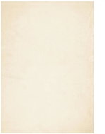 Shumee HUARTE short pile soft and washable cream 160 × 230 cm - Carpet