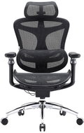 SIHOO Office Chair DORO-C300-PRO-M101 - Office Chair