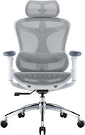 SIHOO Office Chair DORO-C300L-A3-102 - Office Chair
