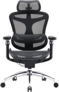 SIHOO DORO C300 Pro Mesh černá - Office Chair