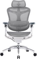 SIHOO DORO C300 Pro Mesh bílá - Office Chair