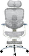 SIHOO C300 LITE V2 Mesh white with footrest - Office Chair