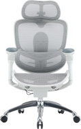SIHOO C300 PRO V2 Mesh white - Office Chair