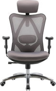SIHOO M18 Mesh černá/šedá - Office Chair