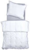 SCANquilt blanket DUPLEX PLUS - Duvet 