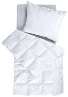SCANquilt down comforter COMTESSA PLUS - Duvet 