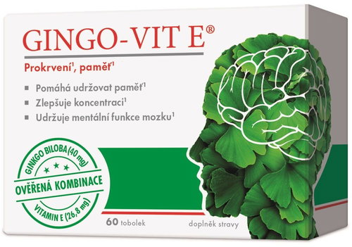Gingo-vit E 60 capsules - Ginkgo Biloba - Main image