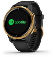 Garmin Venu Black/Gold - Smart hodinky