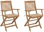 Skládací zahradní židle s poduškami 2 ks masivní akáciové dřevo, 3064593 - Zahradní židle