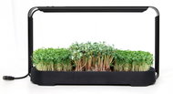 Bentech GreenBoost set for growing microgreens - Smart Flower Pot