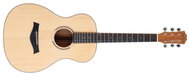 Shaman WSF-10 NT - Acoustic Guitar