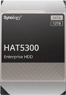 Synology HAT5300-12T - Pevný disk