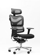 SPINERGO Manager grey - Office Chair