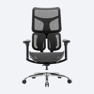 SPINERGO Dual čená - Office Chair