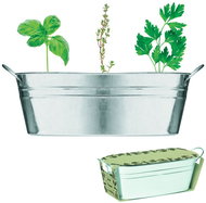 SORTLAND Sada na vypěstování bylinek v květináči - Seeds